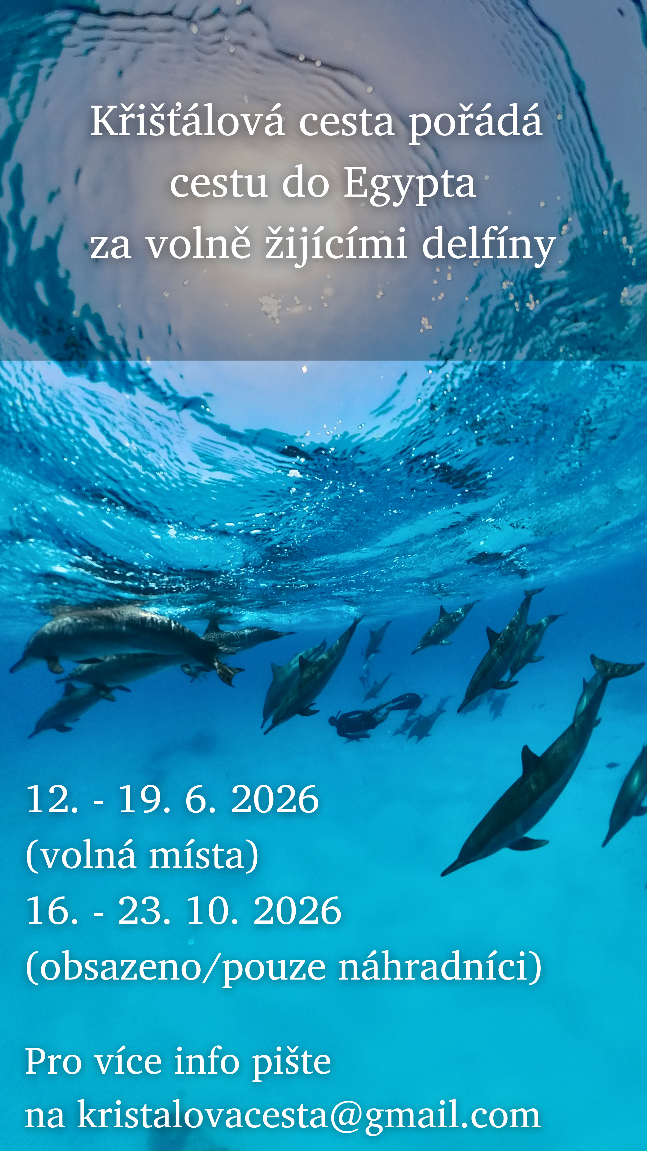 Delfíni 2026 plakát